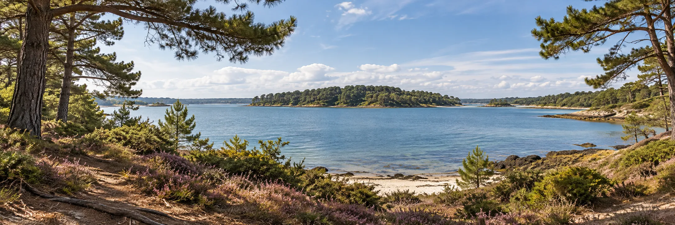 AI-generated Brownsea Island-inspired wooded shoreline overlooking harbour water